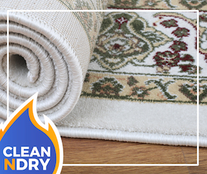 area-rug-cleaning-orlando-fl