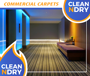COMMERCIAL-CARPET-cleaning